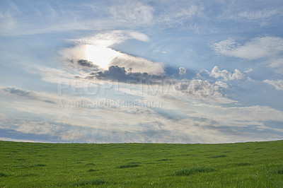 Buy stock photo Nature, blue sky and grass field with clouds on farmland for natural scenery in countryside. Empty, greenery and sunshine with lawn on farm for eco friendly environment or rural area in wilderness