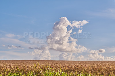 Buy stock photo Images from the Kingdom of Denmark