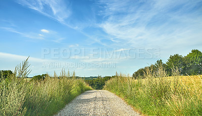 Buy stock photo Nature, path and grass field with blue sky for travel, farmland or natural scenery in countryside. Empty, trees and greenery with route or trail on farm for adventure, journey or rural settlement