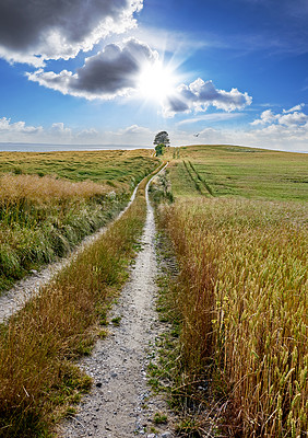 Buy stock photo Nature, path and grass field with blue sky in countryside for travel, farmland or natural scenery. Empty, clouds and sunshine with route or trail on farm for adventure, journey or rural settlement