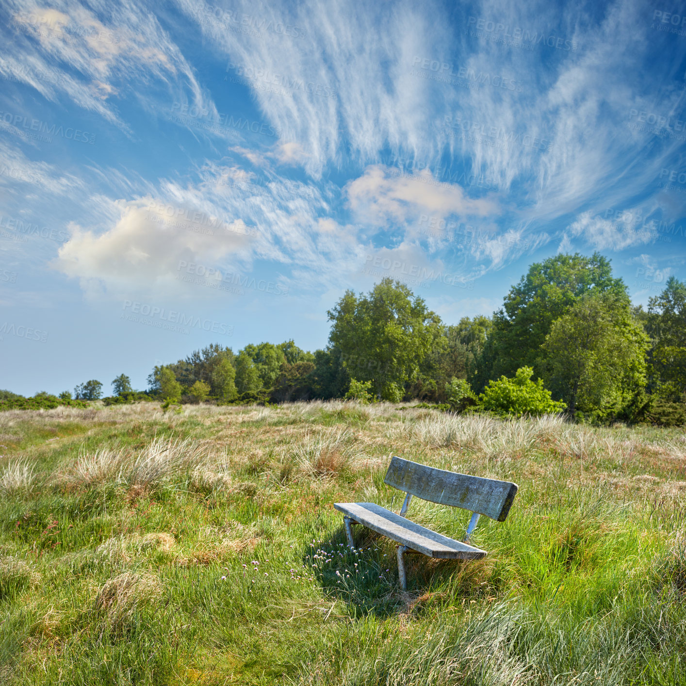 Buy stock photo Trees, bench and environment with village in nature for sustainability, ecology and travel. Adventure, vacation and summer with countryside park for tourism, landscape and blue sky background