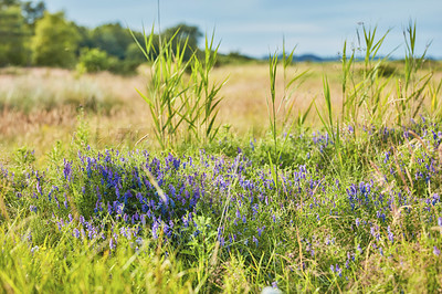 Buy stock photo Images from the Kingdom of Denmark