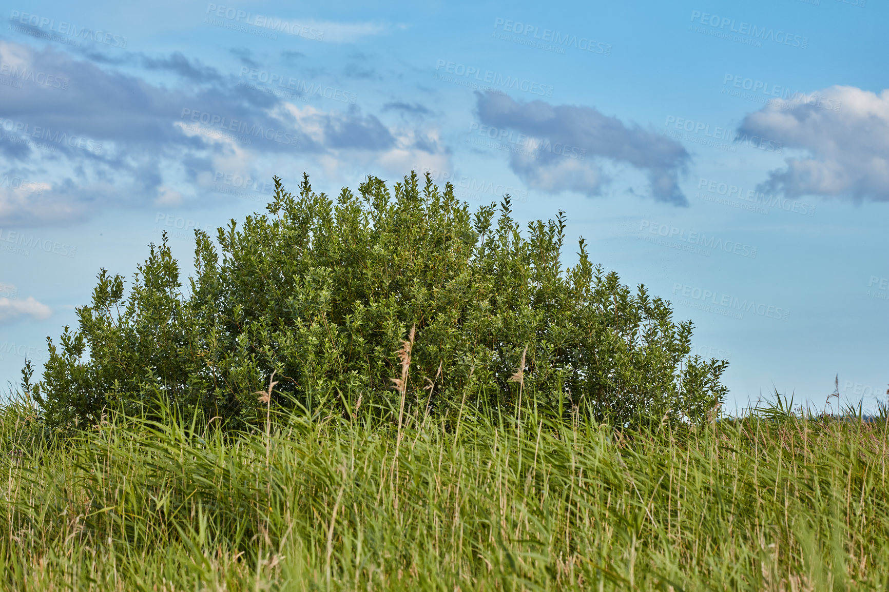 Buy stock photo Images from the Kingdom of Denmark