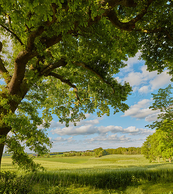 Buy stock photo Images from the Kingdom of Denmark