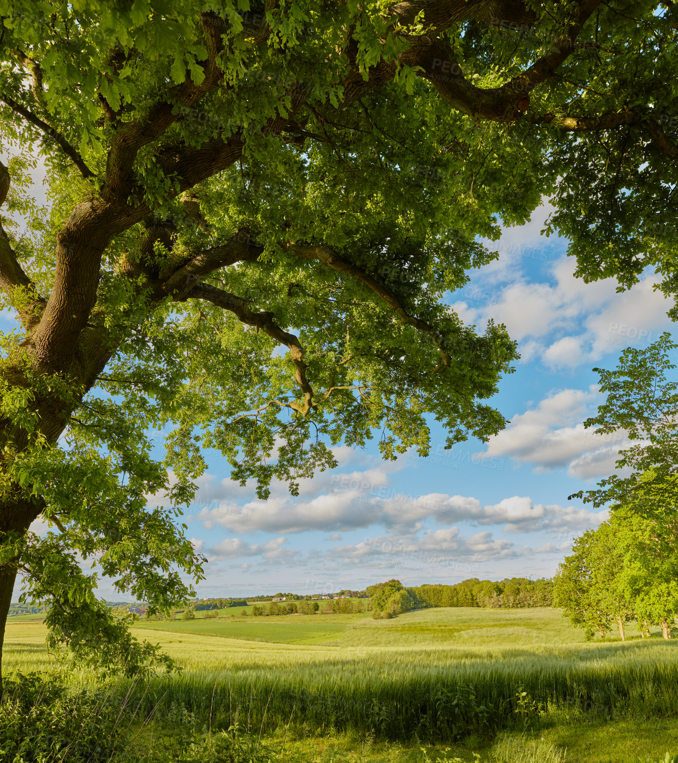 Buy stock photo Images from the Kingdom of Denmark