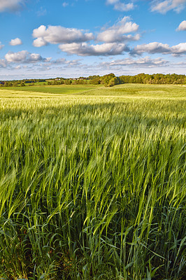 Buy stock photo Images from the Kingdom of Denmark