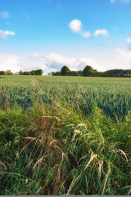 Buy stock photo Images from the Kingdom of Denmark