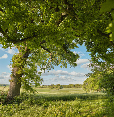 Buy stock photo Images from the Kingdom of Denmark