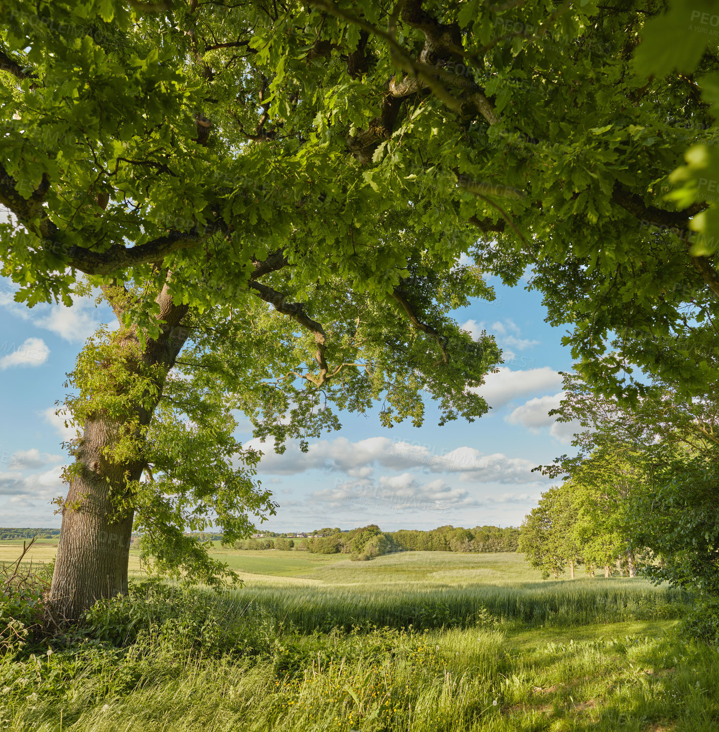 Buy stock photo Images from the Kingdom of Denmark