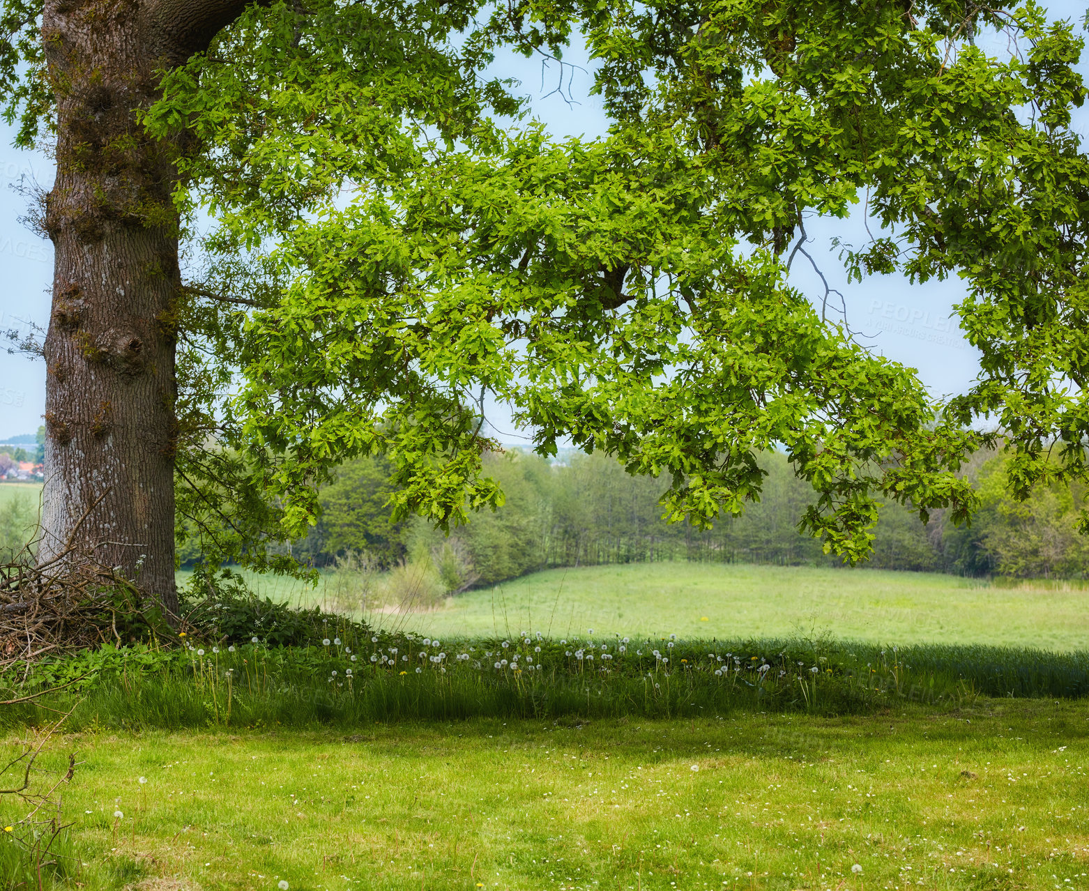 Buy stock photo Images from the Kingdom of Denmark