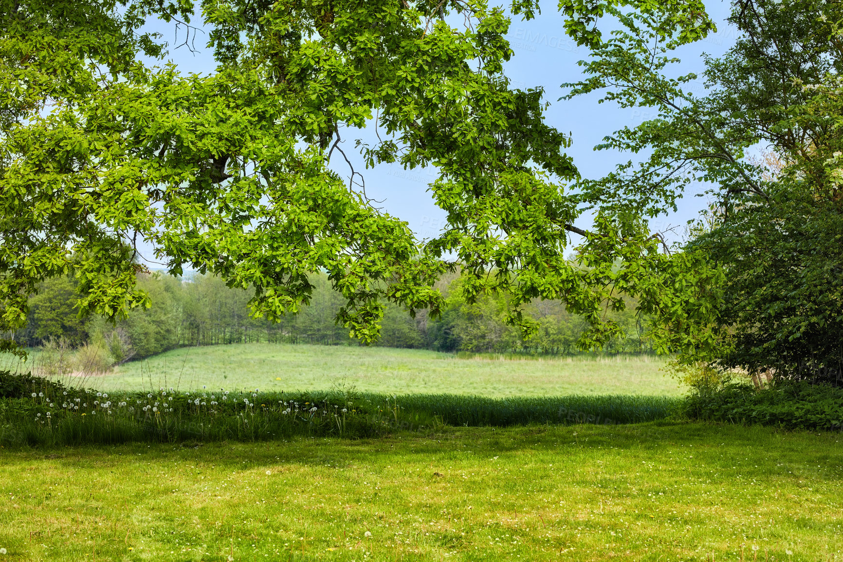 Buy stock photo Images from the Kingdom of Denmark