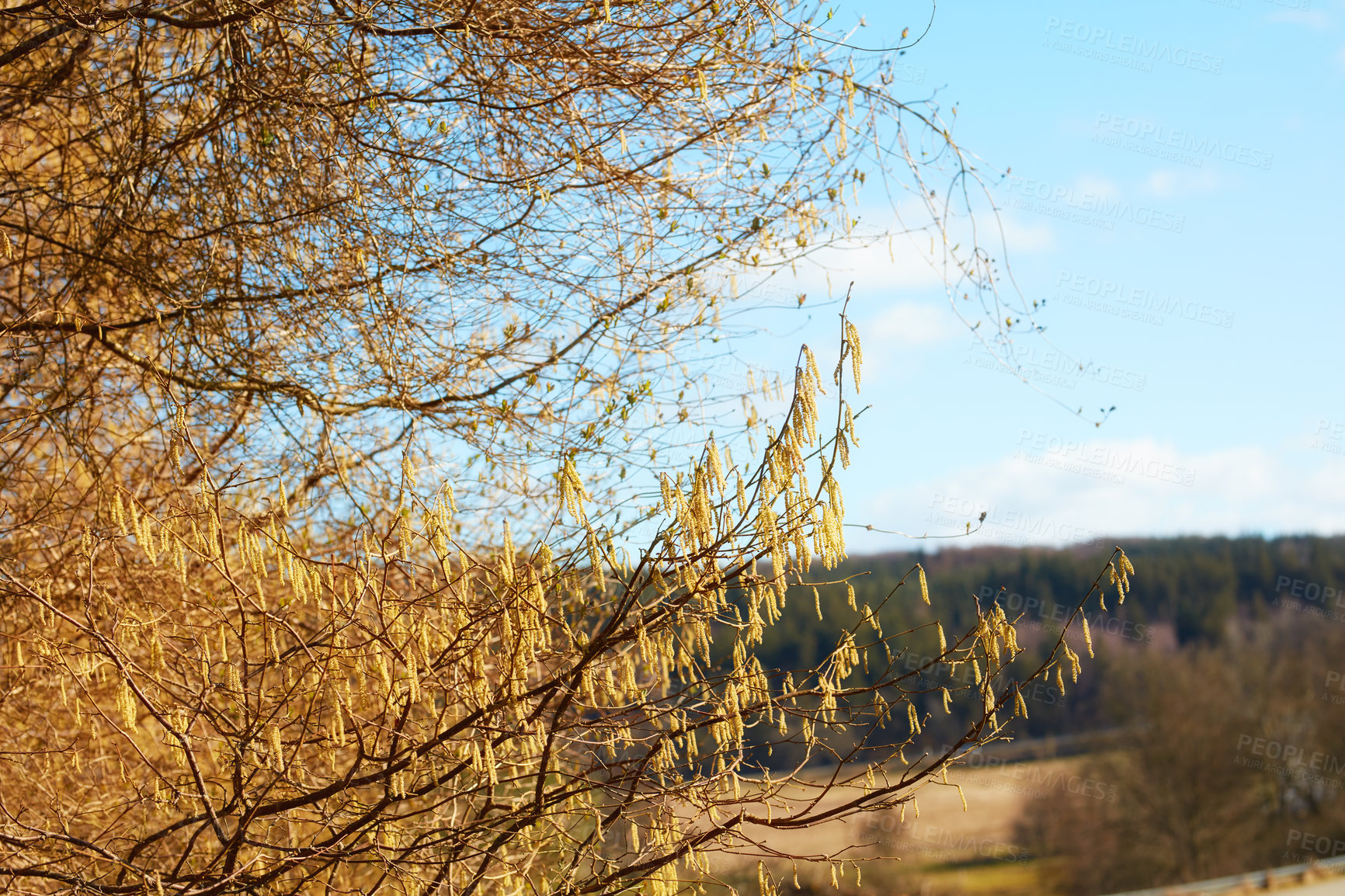 Buy stock photo Images from the Kingdom of Denmark