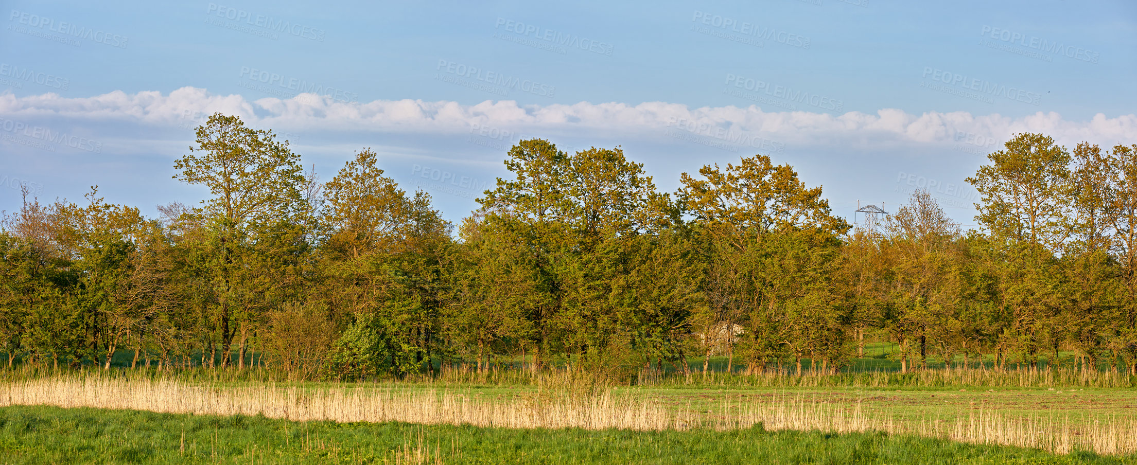 Buy stock photo Images from the Kingdom of Denmark