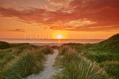 Buy stock photo Nature, grass and beach with sunset outdoor for ocean landscape, dunes environment and Summer season. Morning, sunrise view and plants with growth, sand path and  tropical water for Denmark location