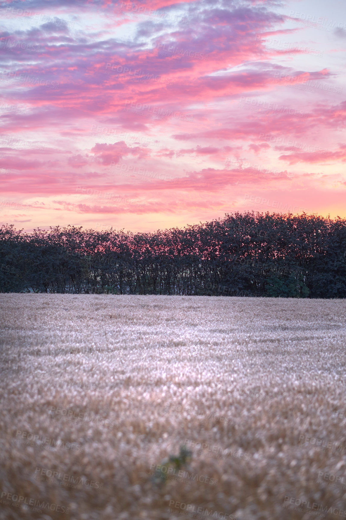 Buy stock photo Images from the Kingdom of Denmark