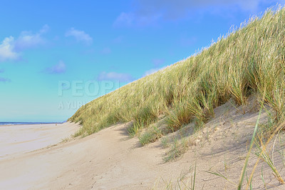 Buy stock photo Landscape, sky and plants at ocean with sand, ecosystem and sustainability in nature. Coast, greenery and water at beach for outdoor travel, natural habitat and environment in Denmark with growth