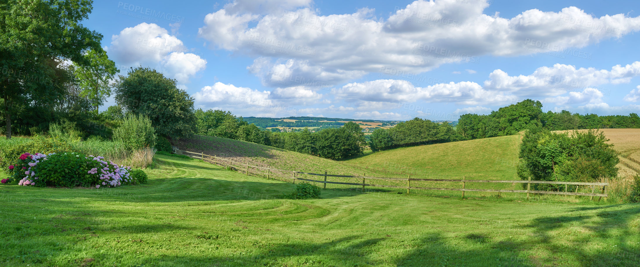 Buy stock photo Nature, grass and meadow in countryside outdoor with pasture field, sustainable environment and farming land. Green, agriculture and plant growth with agro, eco friendly trees and blue sky in Denmark