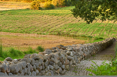 Buy stock photo Grass, nature and landscape, field and stone wall path in Denmark. Sustainability, environment and countryside farming location for agro, agriculture and plant growth with land or eco friendly trees.