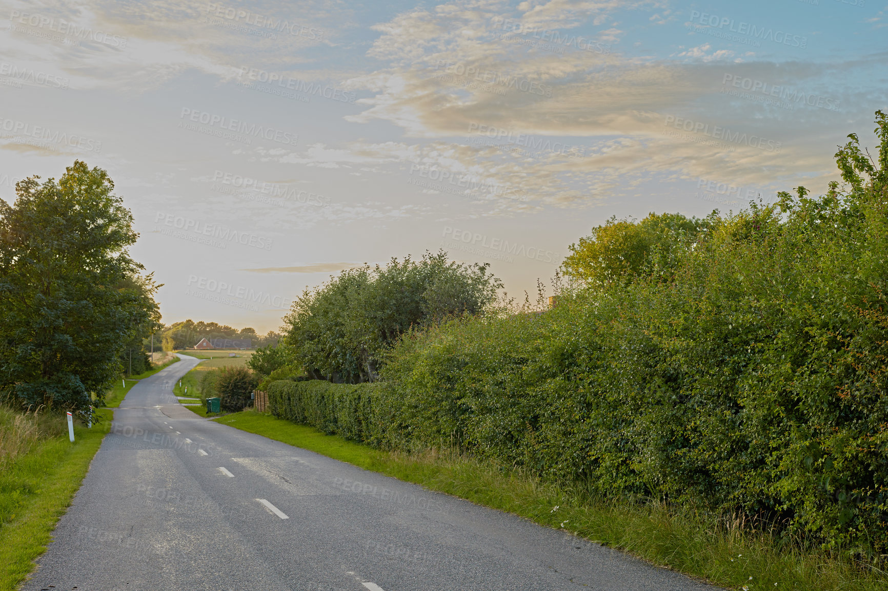 Buy stock photo Road, forest and trees in countryside with clouds, path and sky in horizon for journey on land. Woods, nature and highway outdoor for travel, holiday and vacation destination for tourism in Denmark