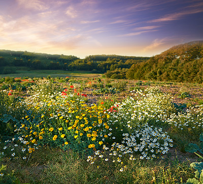 Buy stock photo Images from the Kingdom of Denmark