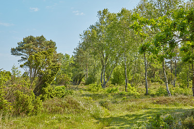 Buy stock photo Images from the Kingdom of Denmark