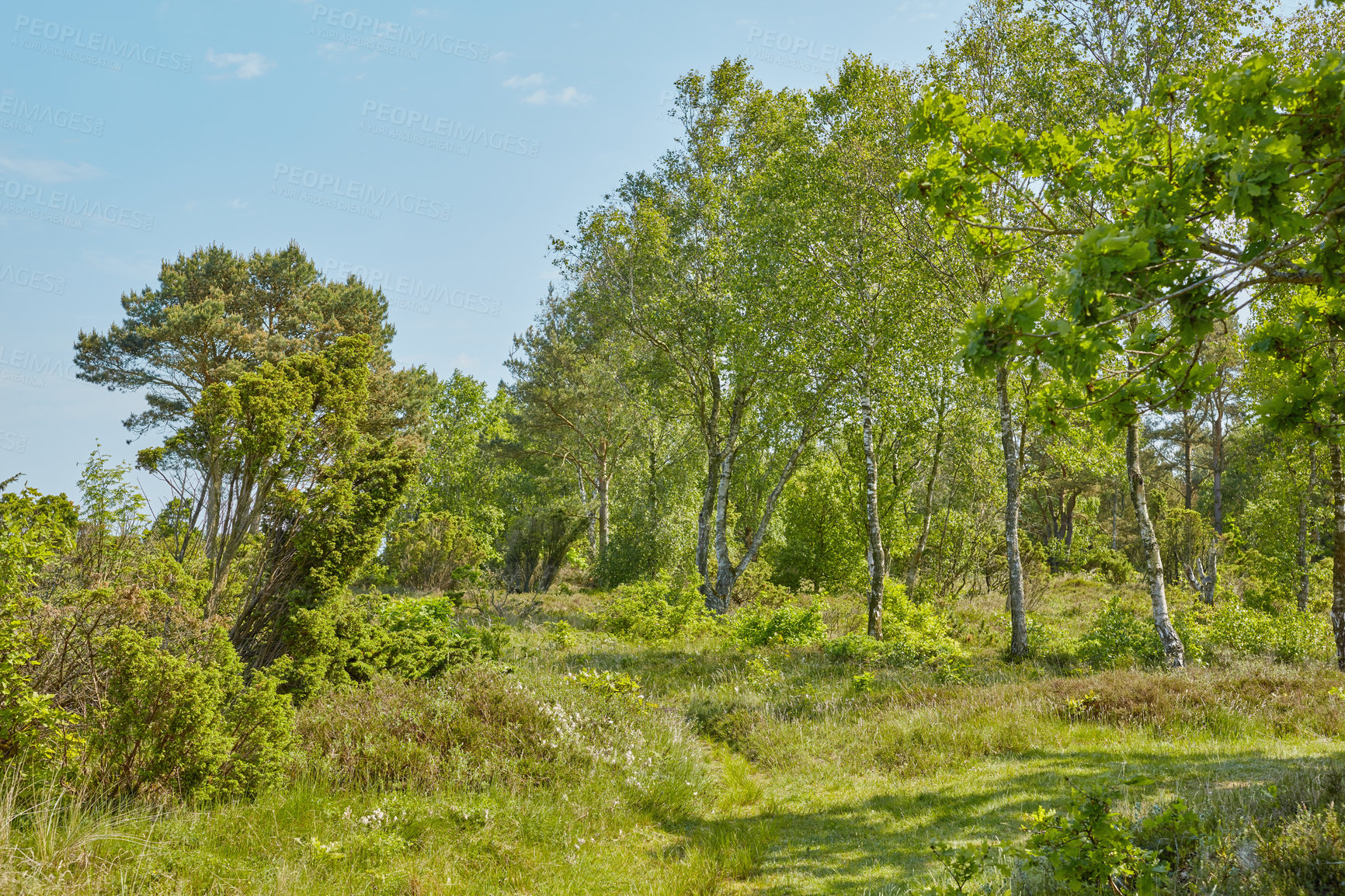 Buy stock photo Images from the Kingdom of Denmark