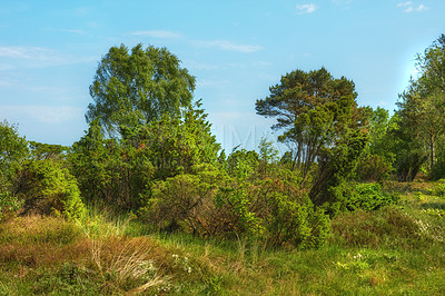 Buy stock photo Images from the Kingdom of Denmark