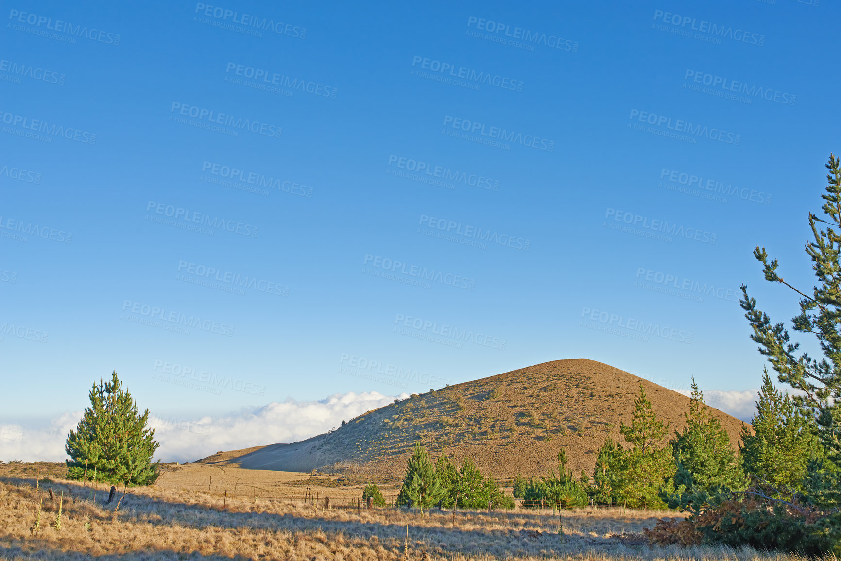 Buy stock photo Wilderness of the State of Hawaii, USA