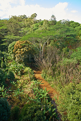 Buy stock photo Images from Oahu - The state of Hawaii.