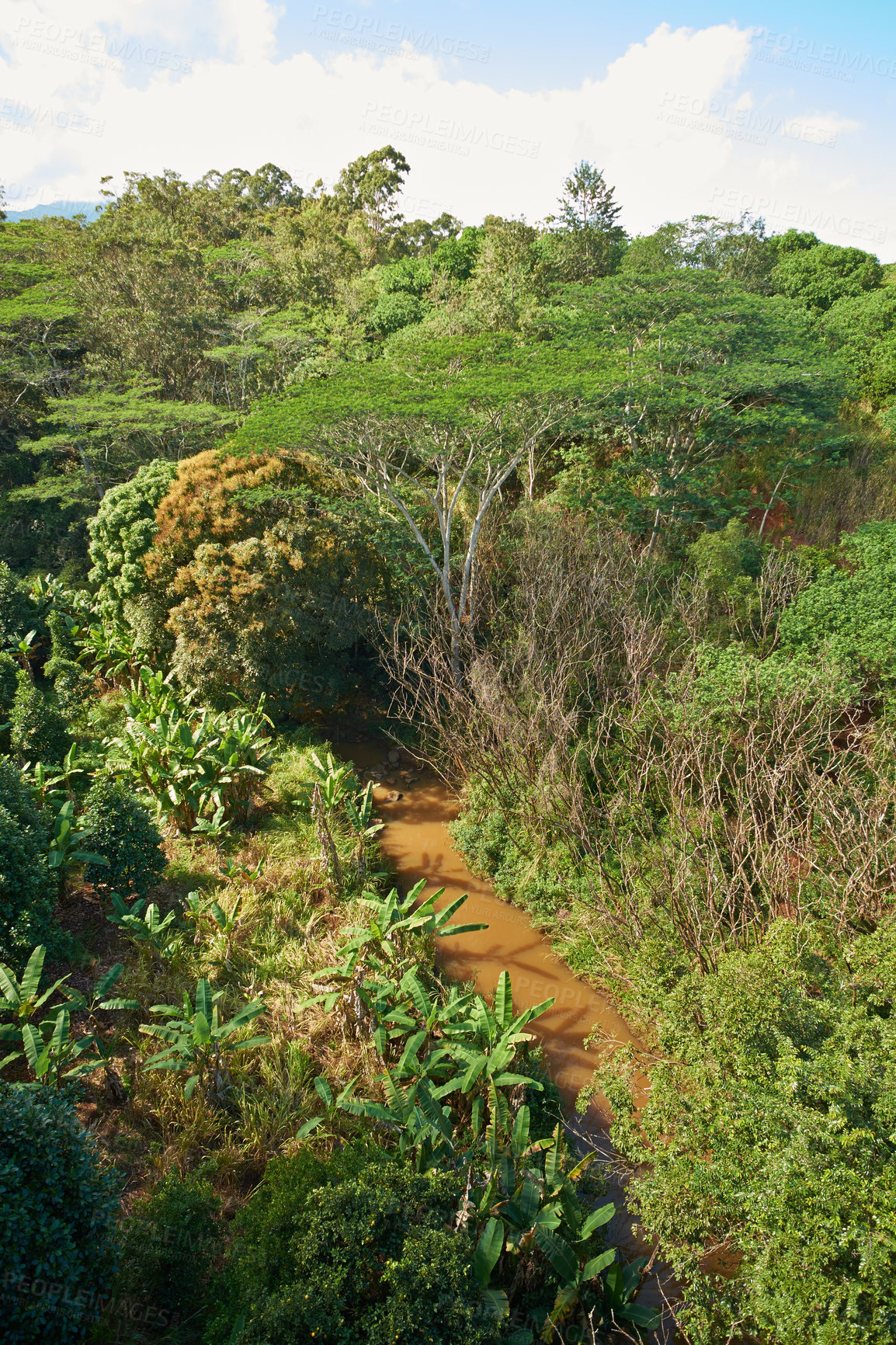 Buy stock photo Images from Oahu - The state of Hawaii.