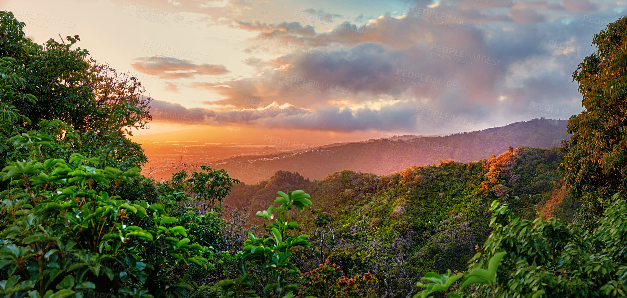 Buy stock photo Images from Oahu - The state of Hawaii.