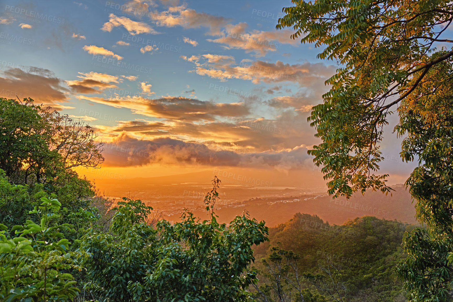 Buy stock photo Images from Oahu - The state of Hawaii.