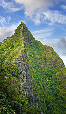 Buy stock photo Images from Oahu - The state of Hawaii.