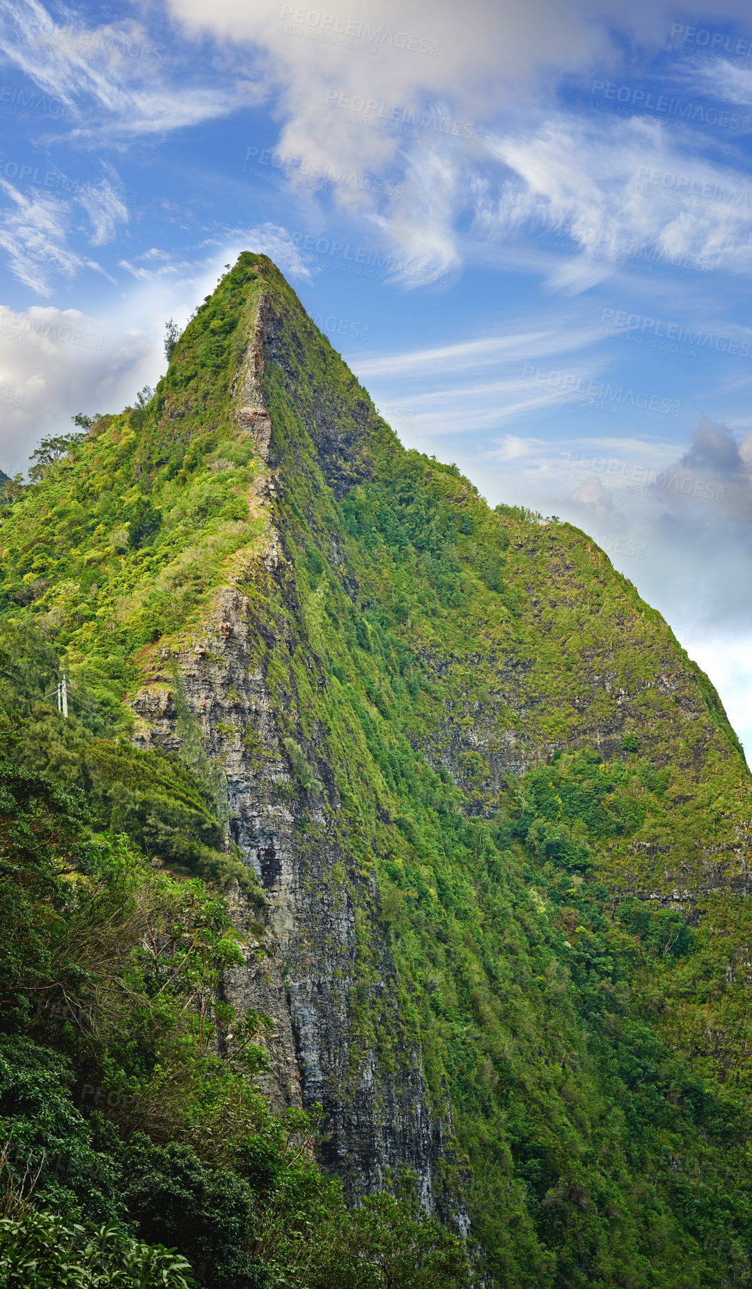 Buy stock photo Images from Oahu - The state of Hawaii.