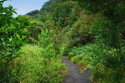 Buy stock photo Images from Oahu - The state of Hawaii.