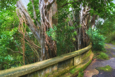 Buy stock photo Images from Oahu - The state of Hawaii.