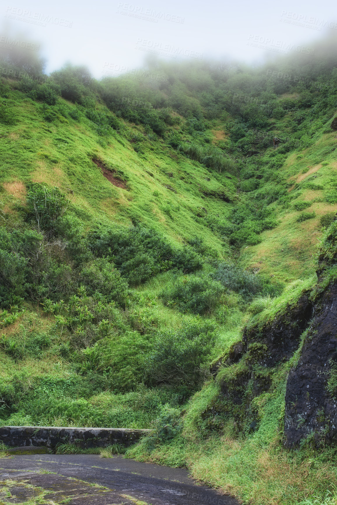 Buy stock photo Images from Oahu - The state of Hawaii.