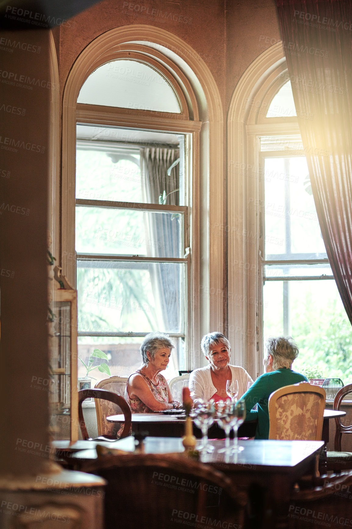 Buy stock photo Cropped shot of a group of senior female friends enjoying a lunch date