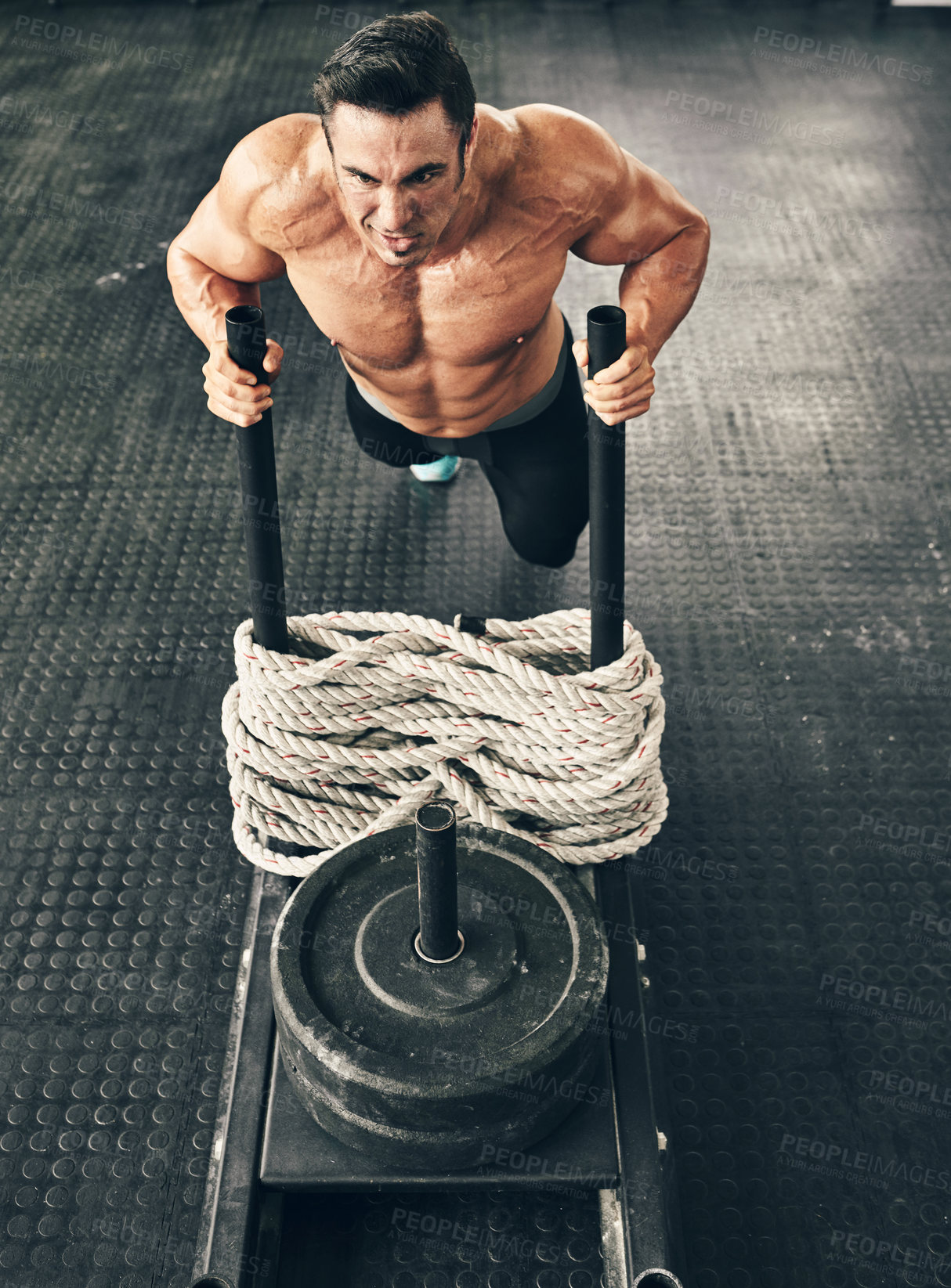 Buy stock photo Man, sled and exercise in gym for fitness, workout and muscle growth, agility and power with rope. Body builder, weights and training in sports club for strength, health and speed with resilience