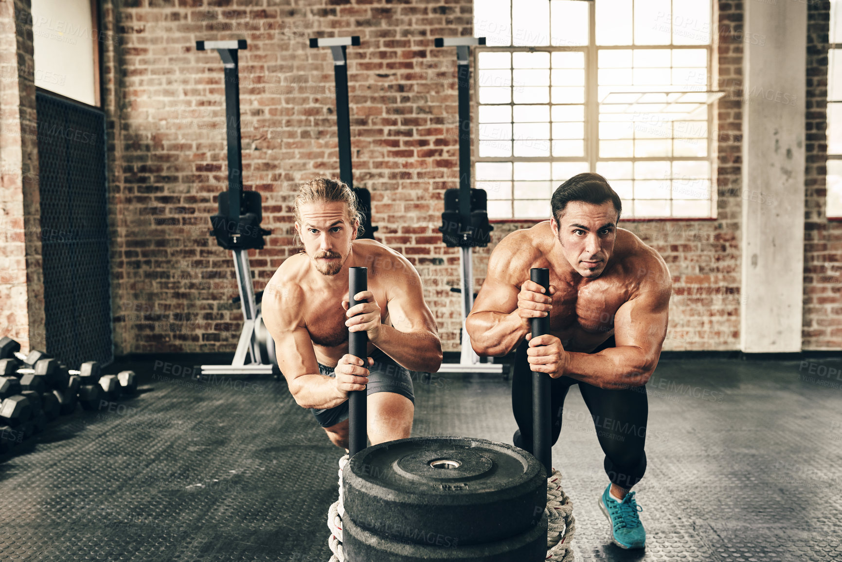 Buy stock photo Men, sled and training in gym for workout, fitness and muscle growth, agility and power with rope. Body builder, weights and exercise in sports club for teamwork, health and speed with resilience
