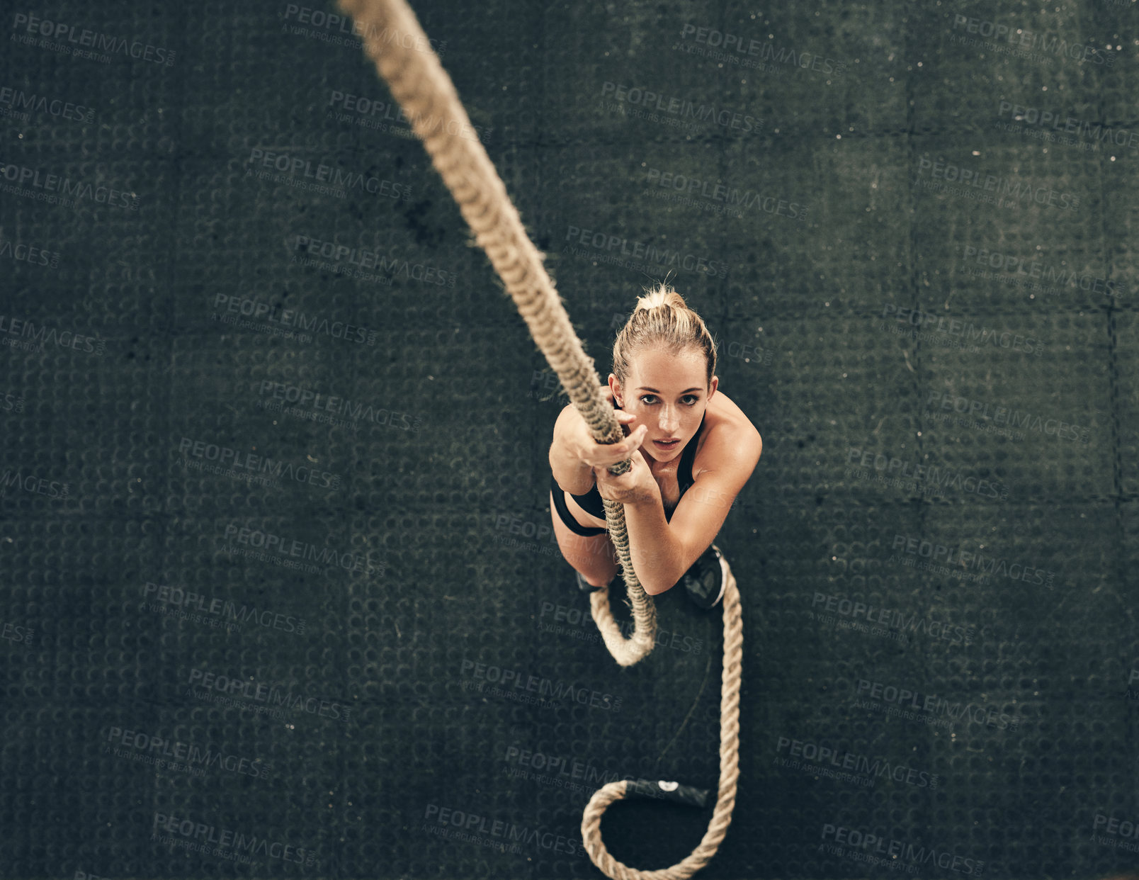 Buy stock photo Woman, bodybuilder and climb rope for workout at gym for bodybuilding with strength and determination. Female person, muscles and strong on training, fitness and exercise for health and above