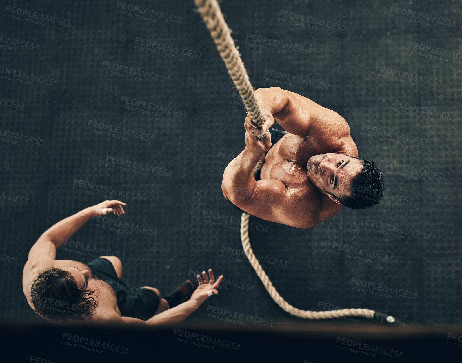 Buy stock photo Training, athlete and coach in gym with rope for teamwork, practice or group sports. Strong, men or friends exercise in fitness centre for cardio class, physical activity and body building above view