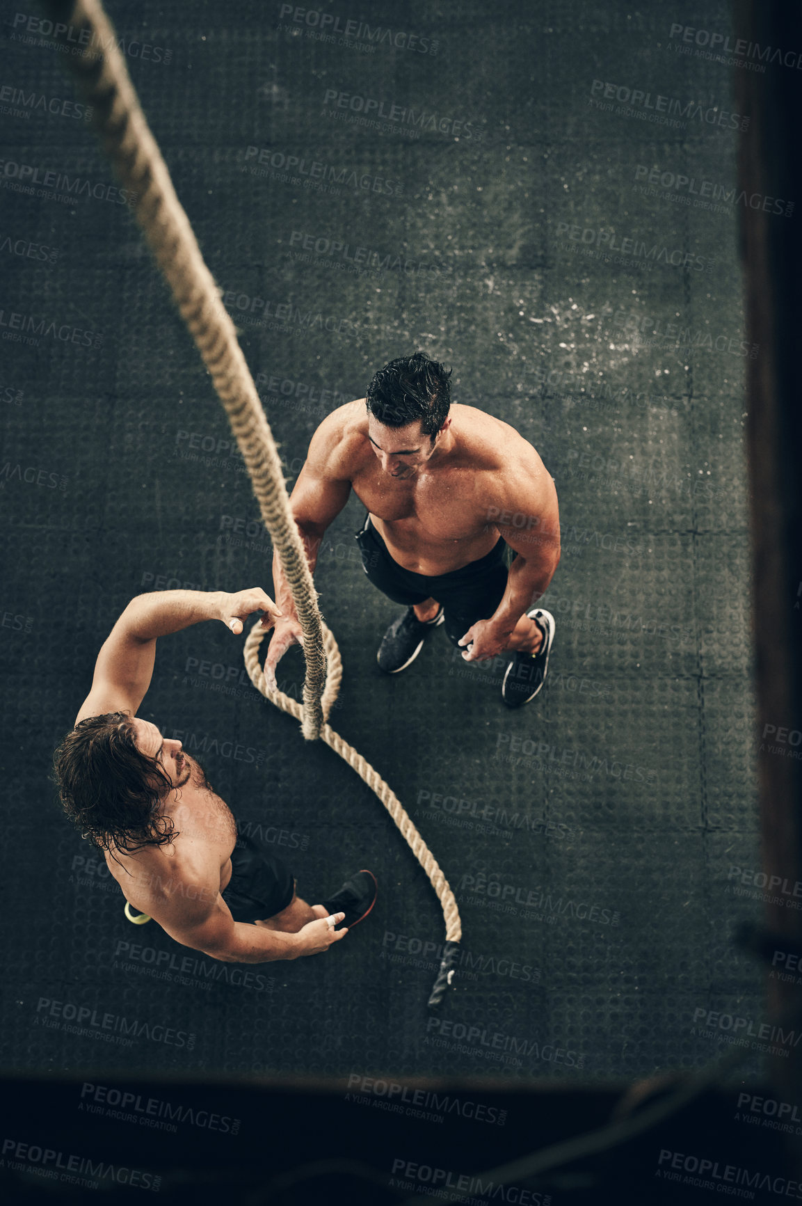 Buy stock photo Gym, men and rope with instructor, serious and exercise with client for fitness, cardio and above. Health club, wellness and personal trainer with person for training, bodybuilding and biceps