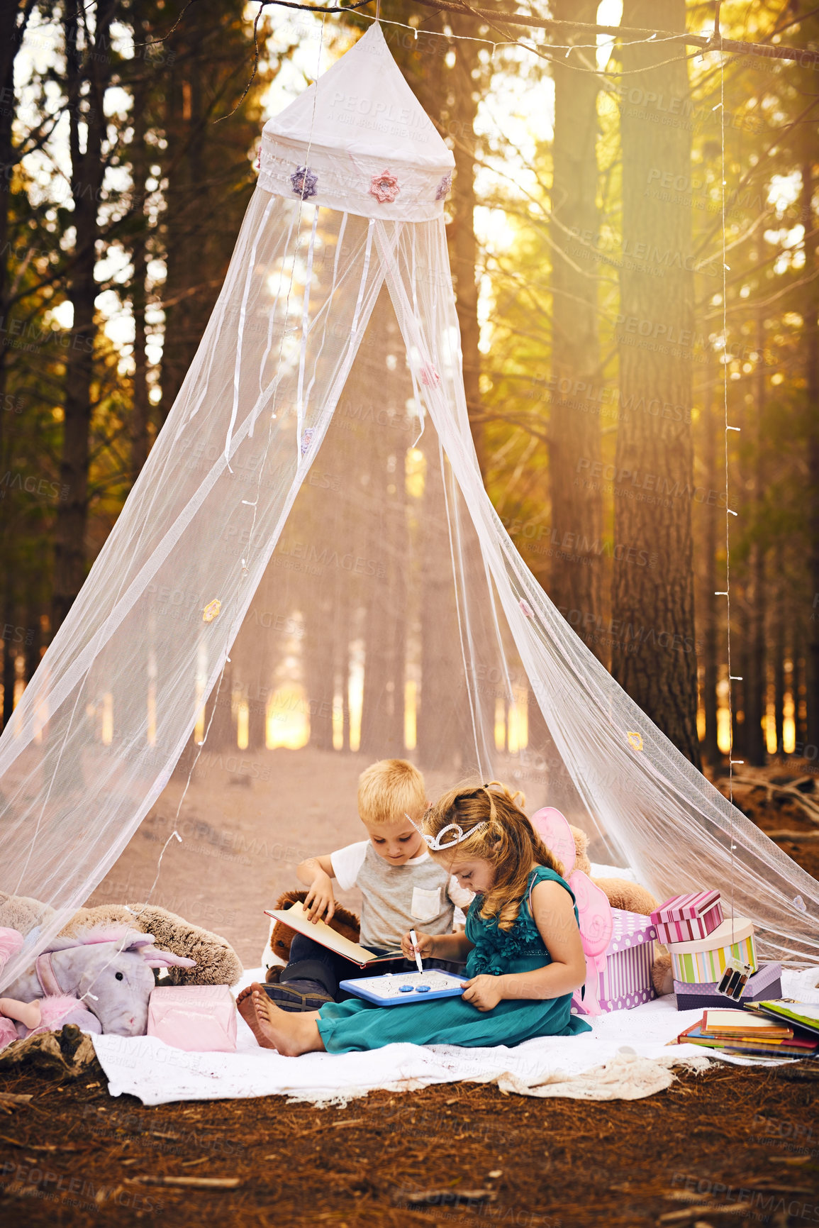 Buy stock photo Picnic, kids and reading book in forest for development, education or fairytale story. Nature, creative and young children on blanket with drawing for relax, weekend break or literature in Canada