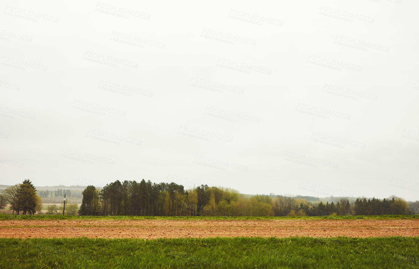 Buy stock photo Countryside, landscape and trees outdoor with peace, winter weather and calm for tranquil environment. Grey sky, space and nature with cold climate, green plants and growth for sustainable ecology.