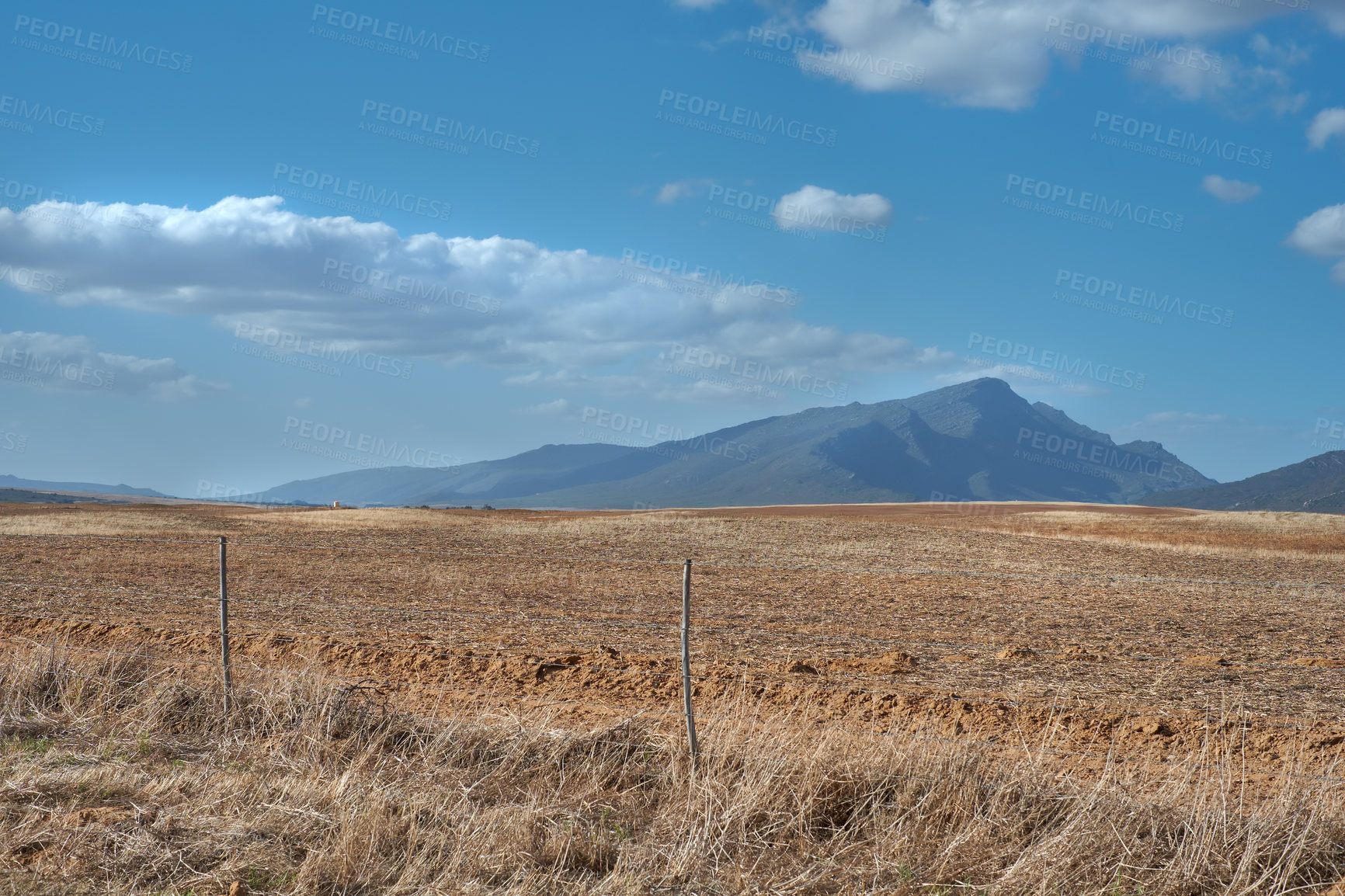 Buy stock photo Farm land in the Western Cape of South Africa in the middle of the day with mountains and cloudy blue sky in the background. Dry outdoor field on a sunny day. Beautiful scenery with copy space. 