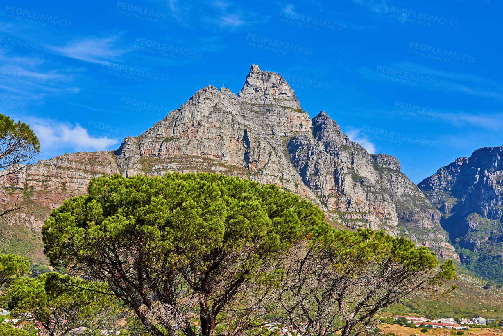 Buy stock photo A bottom view picture of Table mountain - South Africa. A beautiful nature view picture of a high mountain shaped like a lion's head with green trees and a town next to it. A mountain range is seen. 