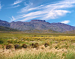 Cedarberg Wilderness Area  - South Africa