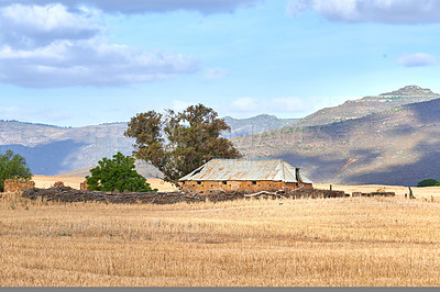 Buy stock photo Copy space with an abandoned building on a wheat field against a cloudy blue sky background. Grain being cultivated for harvest on a rural farm in the scenic countryside of Western Cape, South Africa