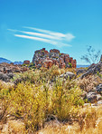 Cedarberg Wilderness Area  - South Africa